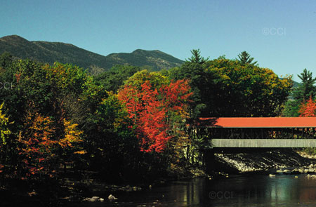 Covered Bridge in the Fall